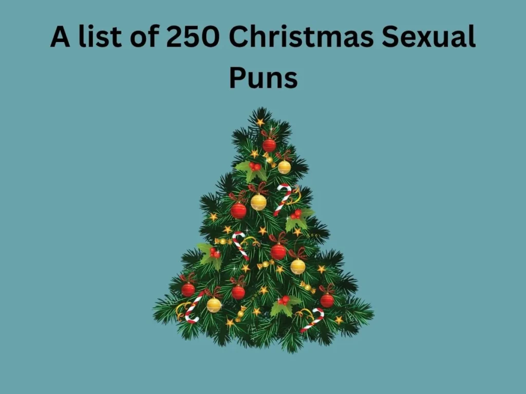 Christmas Sexual Puns