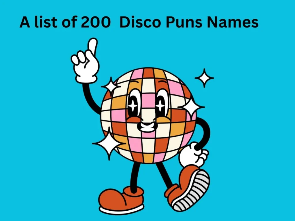 Disco Puns Names