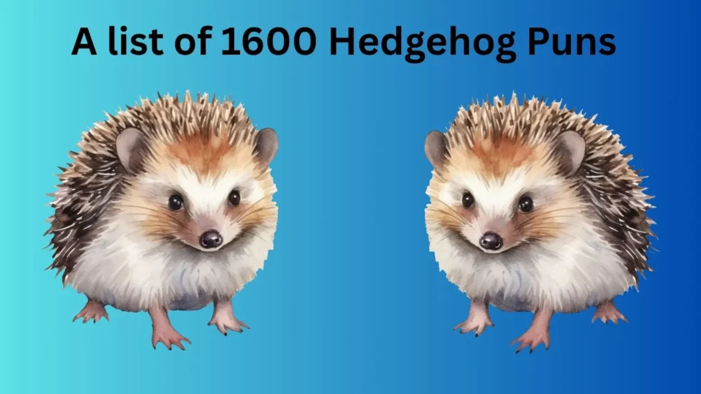 Hedgehog Puns