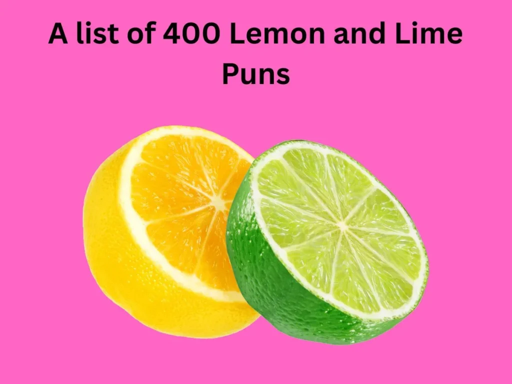 Lemon and Lime Puns