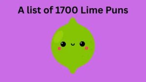 Read more about the article 1700+ Hilarious Lime Puns and Jokes That Will Zest Up  2025