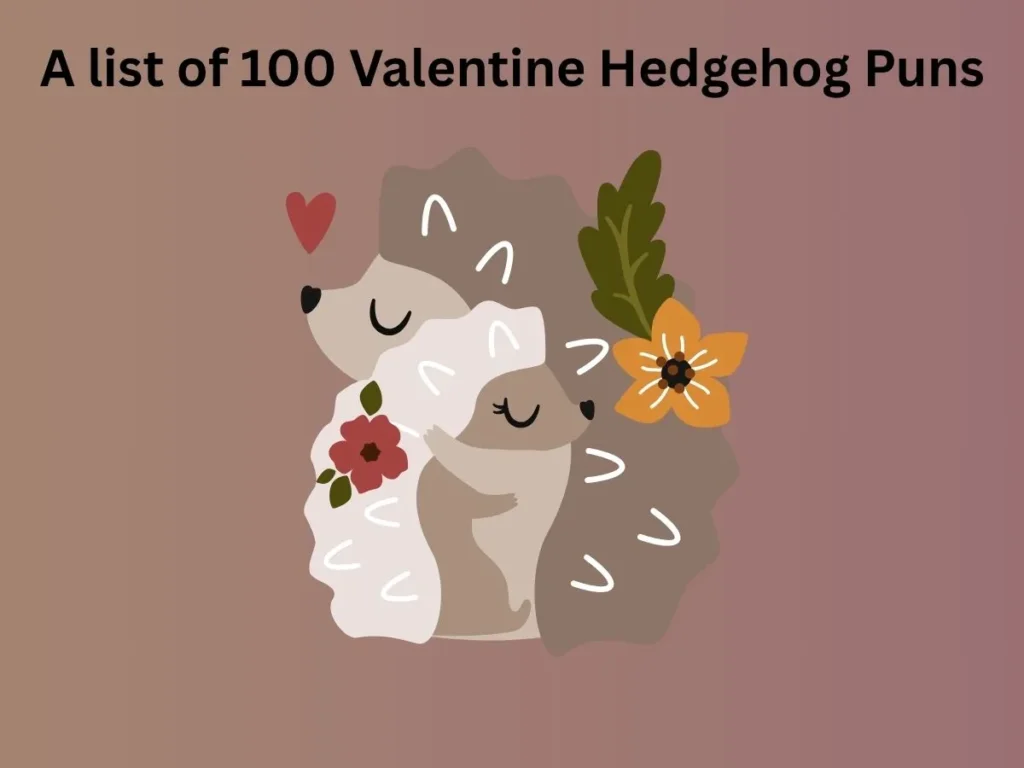 Valentine Hedgehog Puns