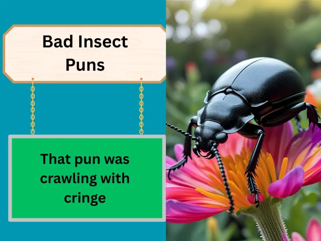 Bad Insect Puns