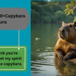 Capybara Puns