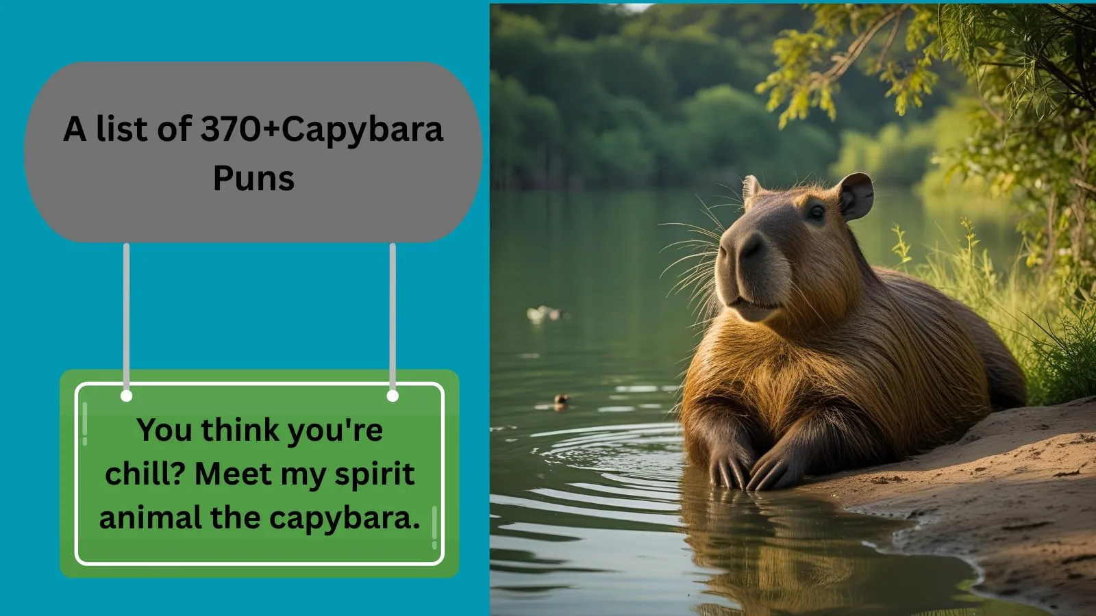 You are currently viewing 370+Capybara Puns That Are Unbearably Adorable