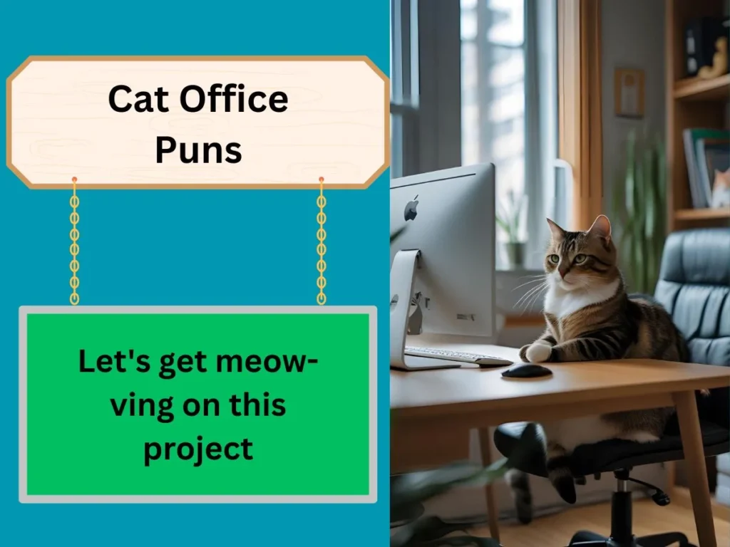 Cat Office Puns