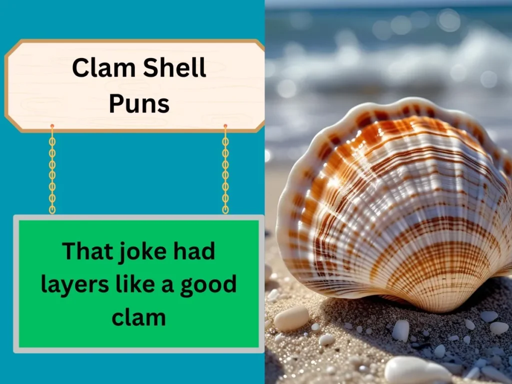 Clam Shell Puns