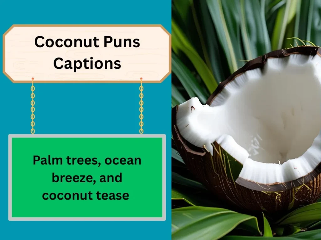 Coconut Puns Captions