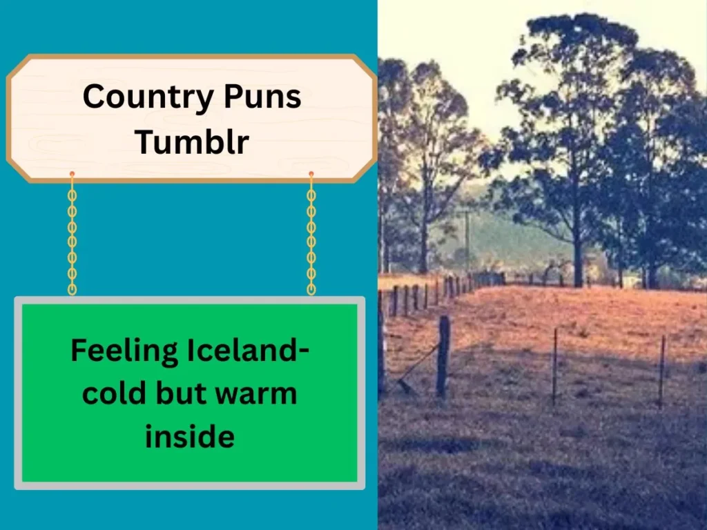 country-puns-tumblr
