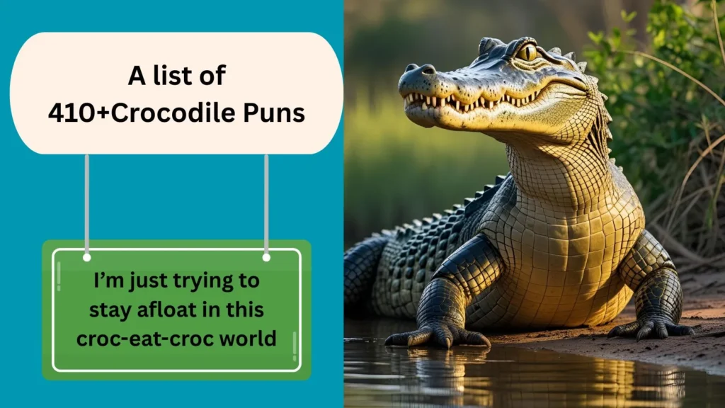 Crocodile Puns