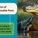 Crocodile Puns