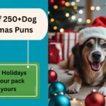 Dog Christmas Puns