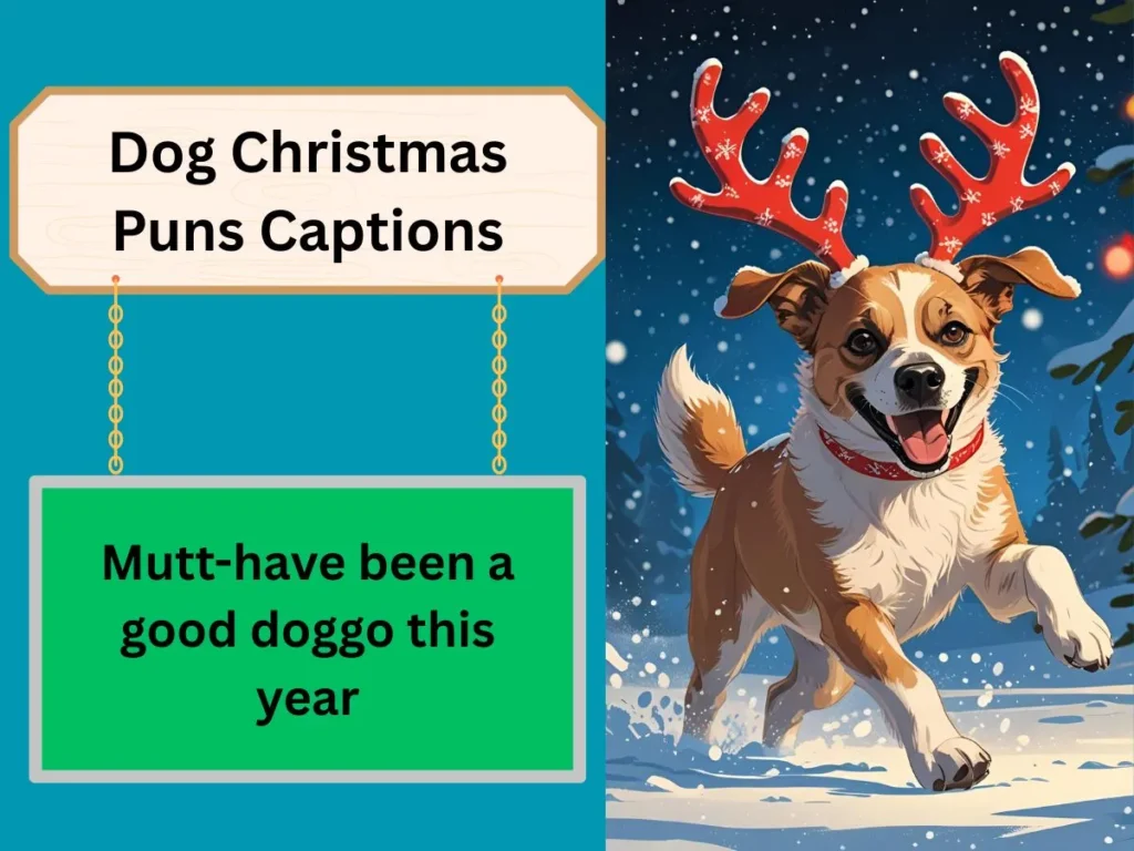 Dog Christmas Puns Captions