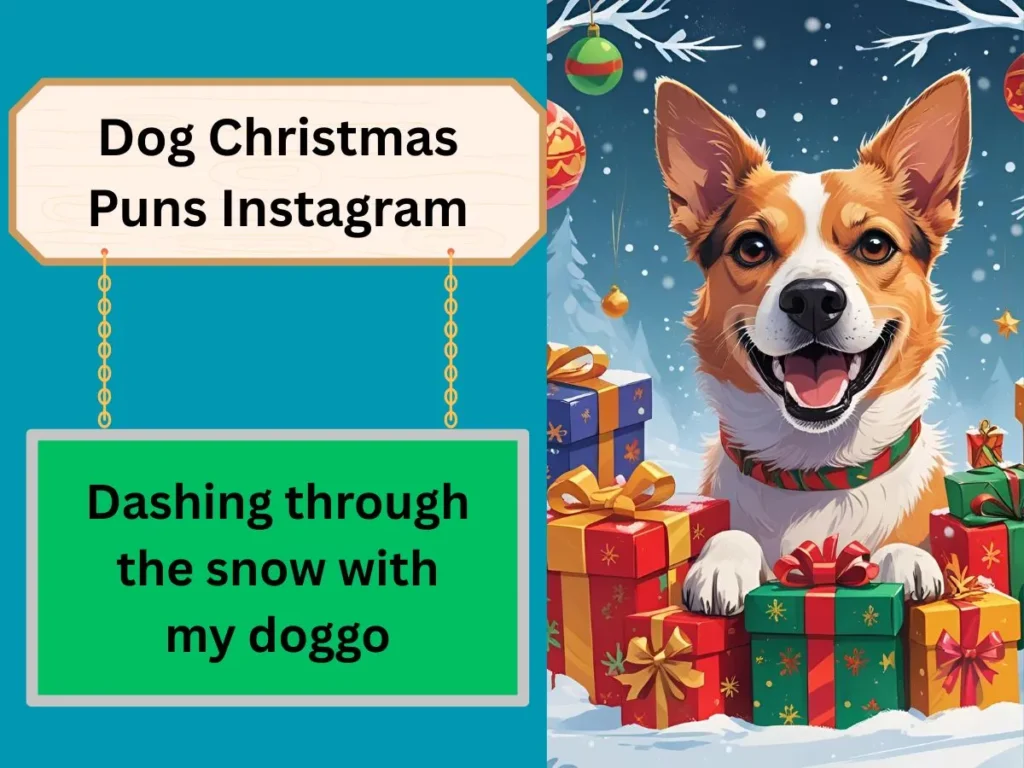 Dog Christmas Puns Instagram