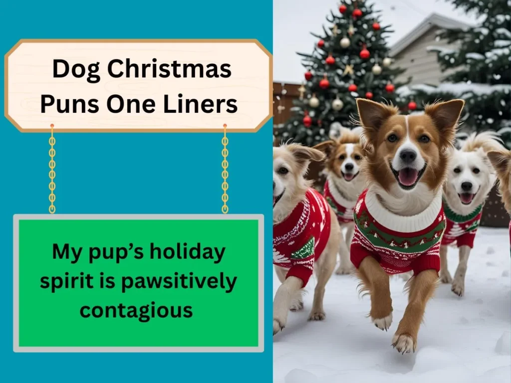 Dog Christmas Puns One Liners