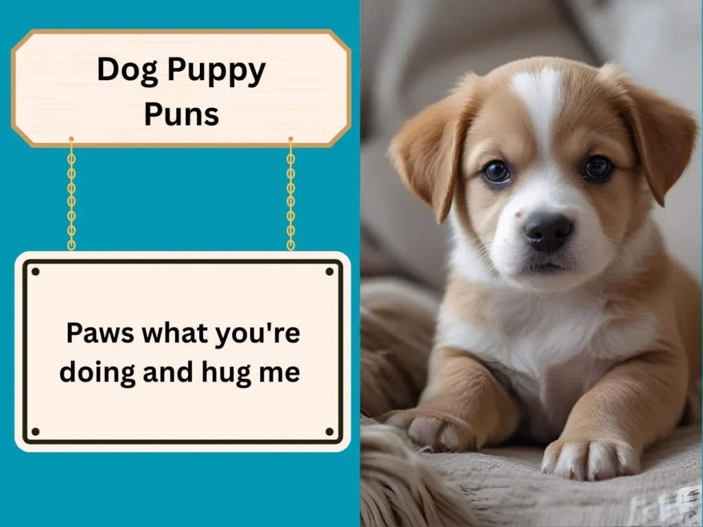 Dog Puppy Puns