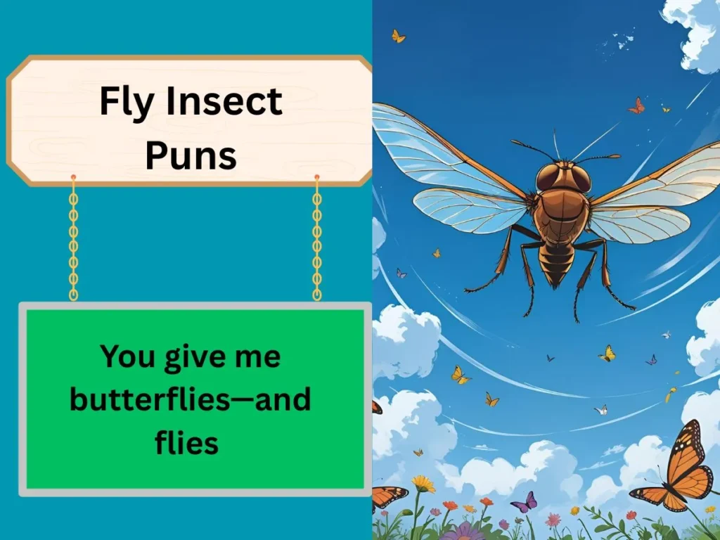 Fly Insect Pun