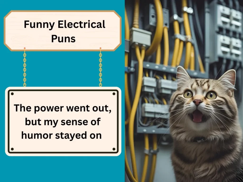Funny Electrical Puns