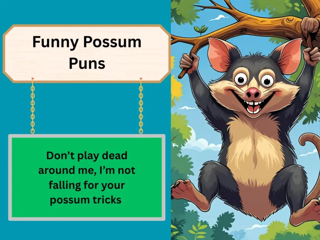 Funny Possum Puns