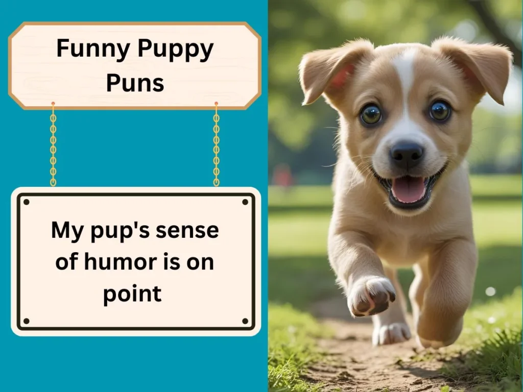 Funny Puppy Puns