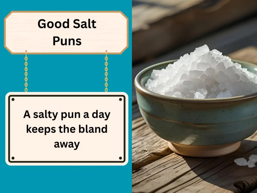 Good Salt Puns