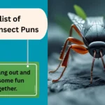 Insect Puns