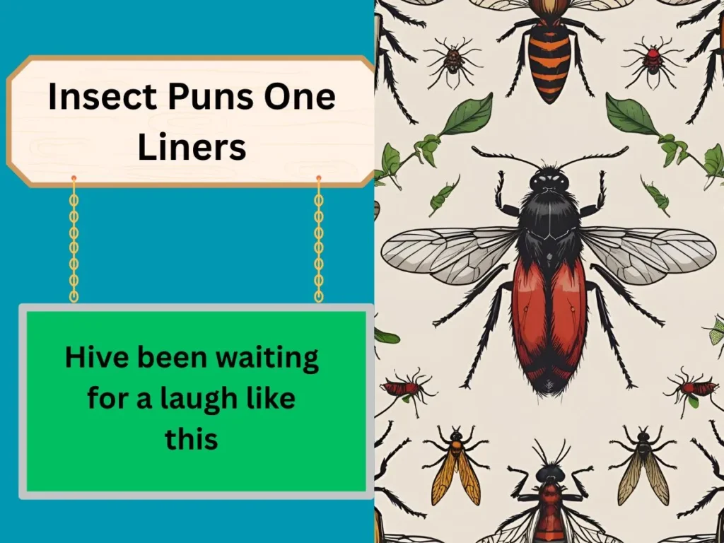 Insect Puns One Liners