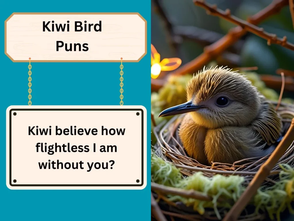 Kiwi Bird Puns