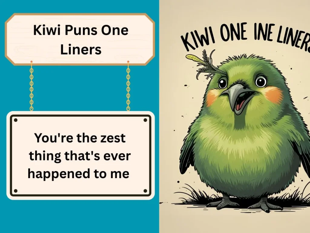 Kiwi Puns One Liners