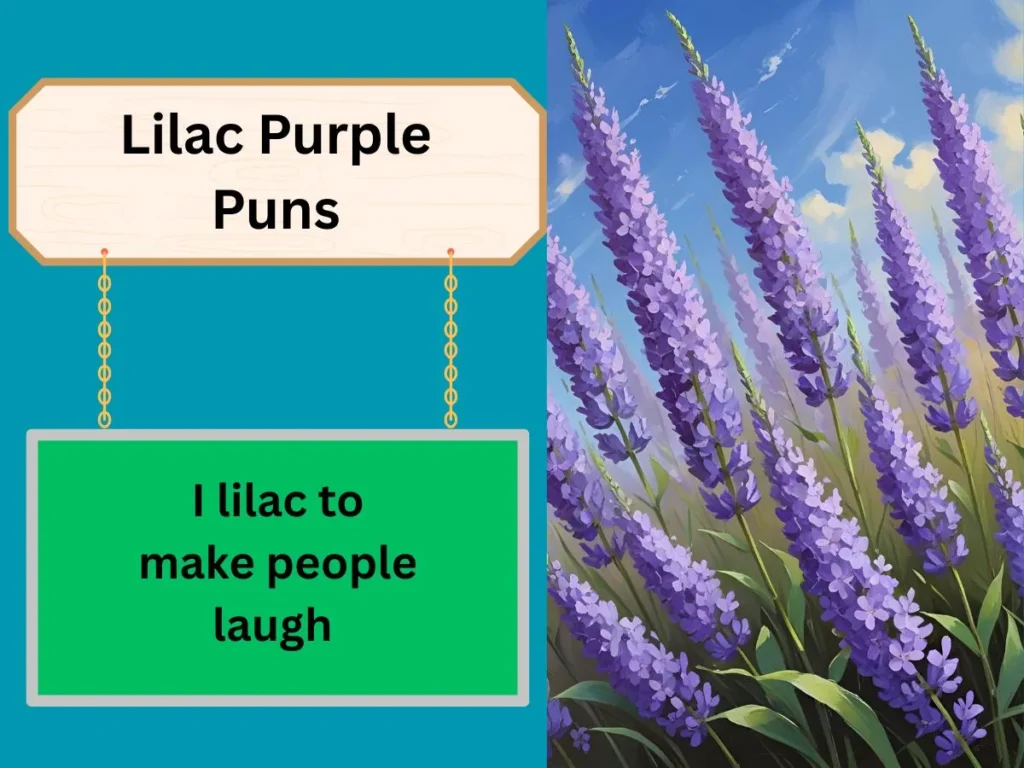 Lilac Purple Puns
