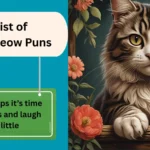 Meow Puns
