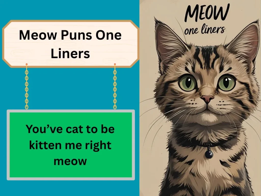 Meow Puns One Liners