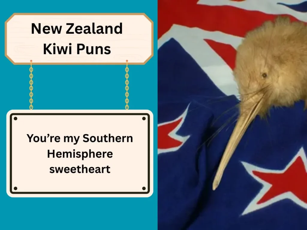 New Zealand Kiwi Puns