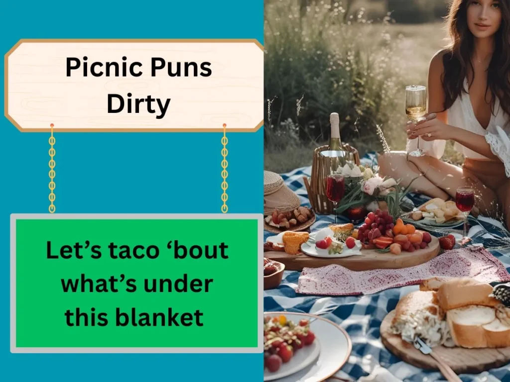 Picnic Puns Dirty