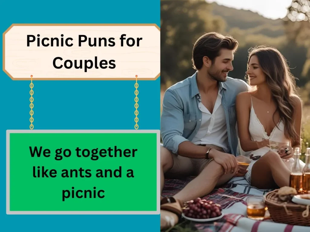 Picnic Puns for Couples