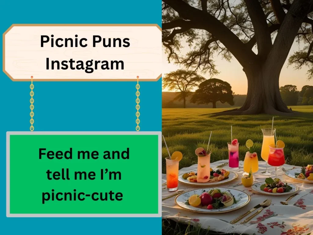 Picnic Puns Instagram