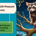 Possum Puns