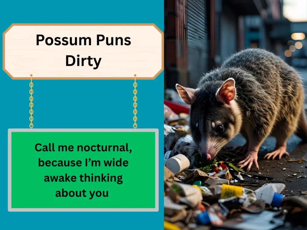 Possum Puns Dirty