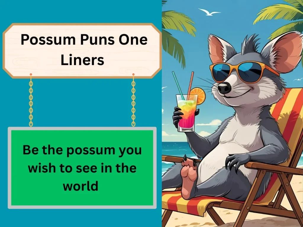 Possum Puns One Liners