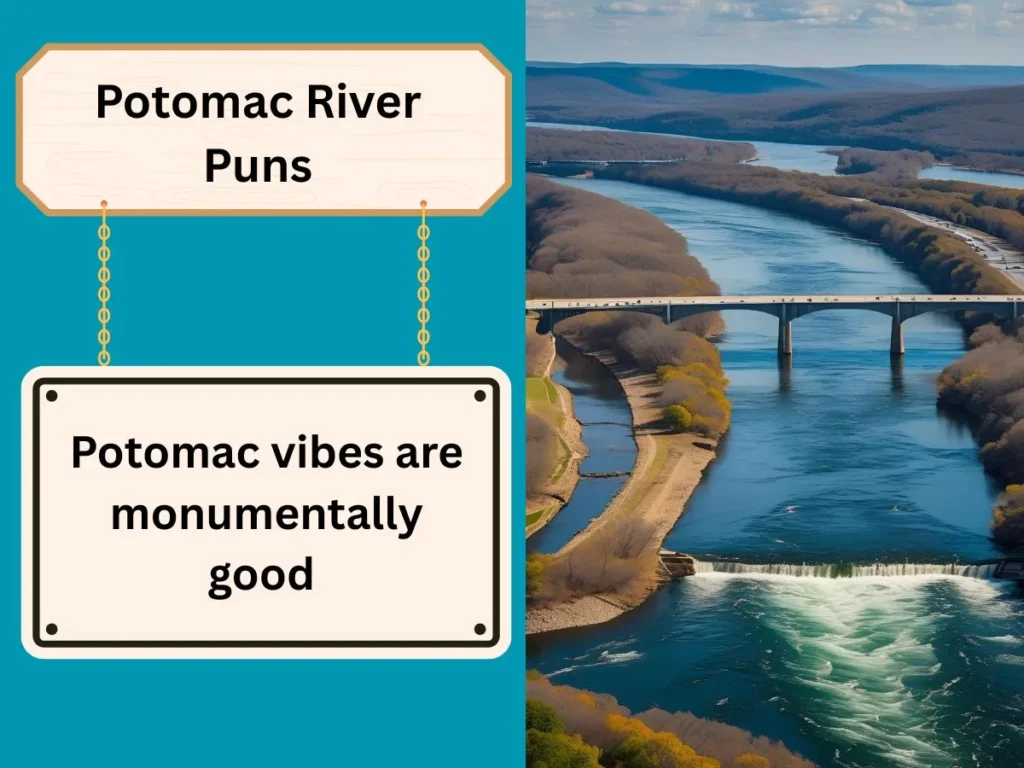 Potomac River Puns