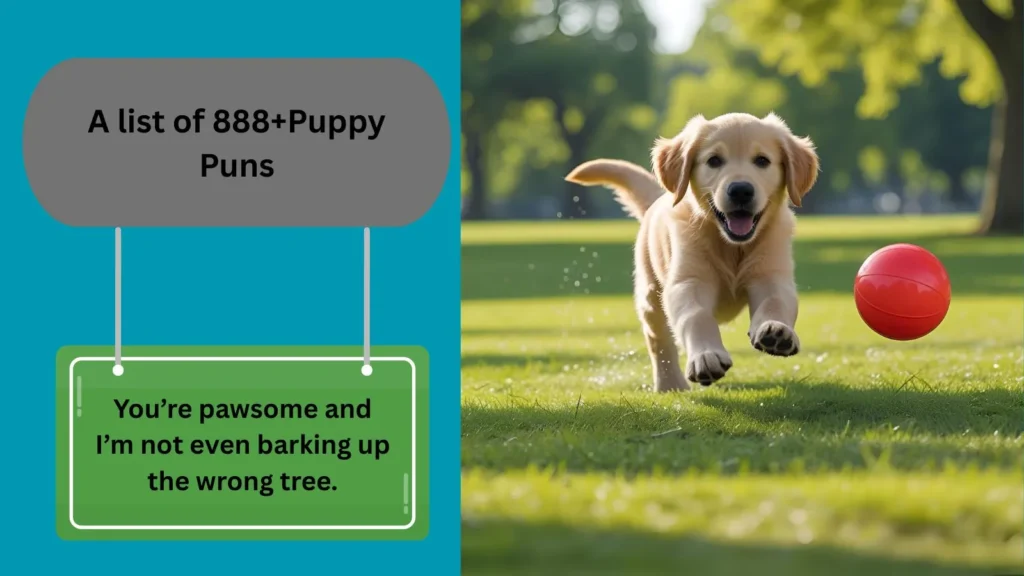 Puppy Puns