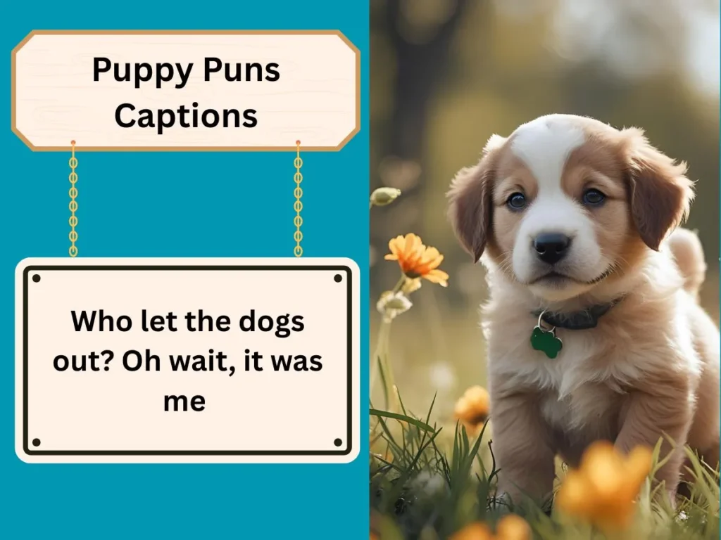 Puppy Puns Captions