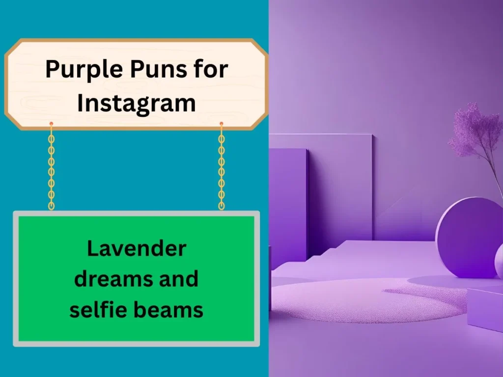 Purple Puns for Instagram