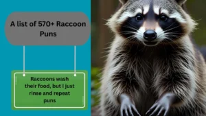 Read more about the article 570+Best Raccoon Puns for Instagram Captions
