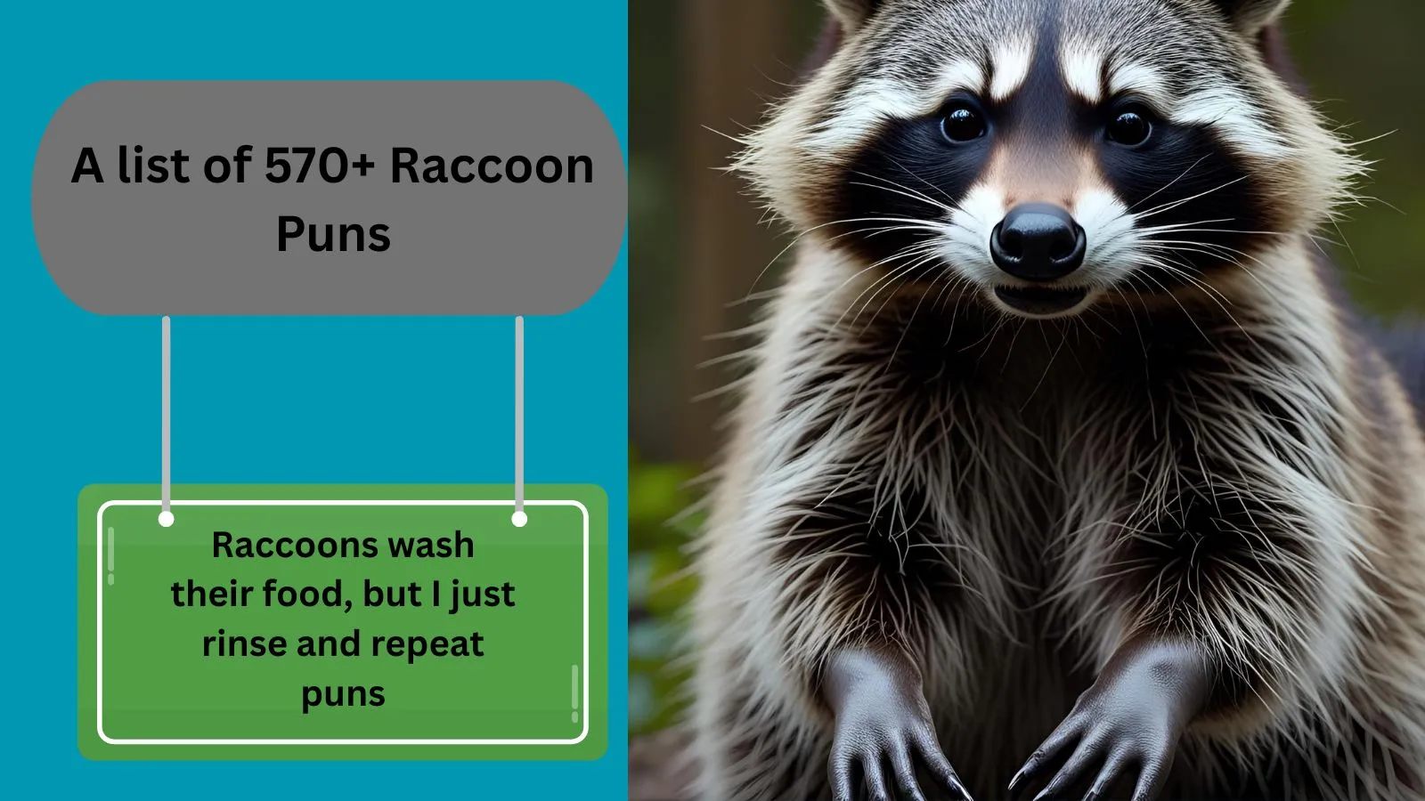 You are currently viewing 570+Best Raccoon Puns for Instagram Captions