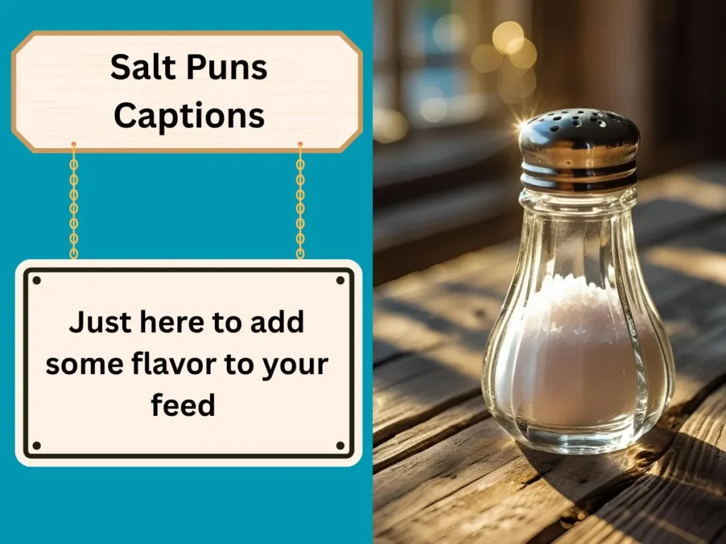 Salt Puns Captions