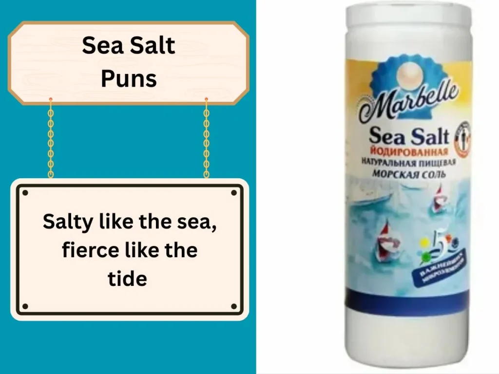 Sea Salt Puns