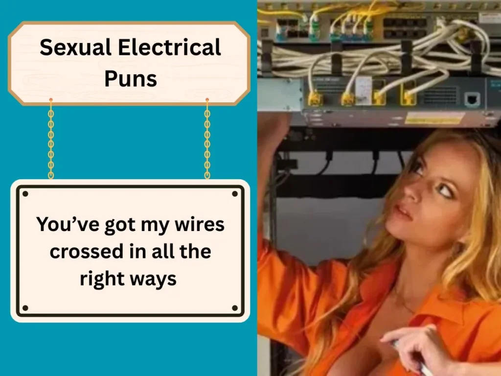 Sexual Electrical Puns