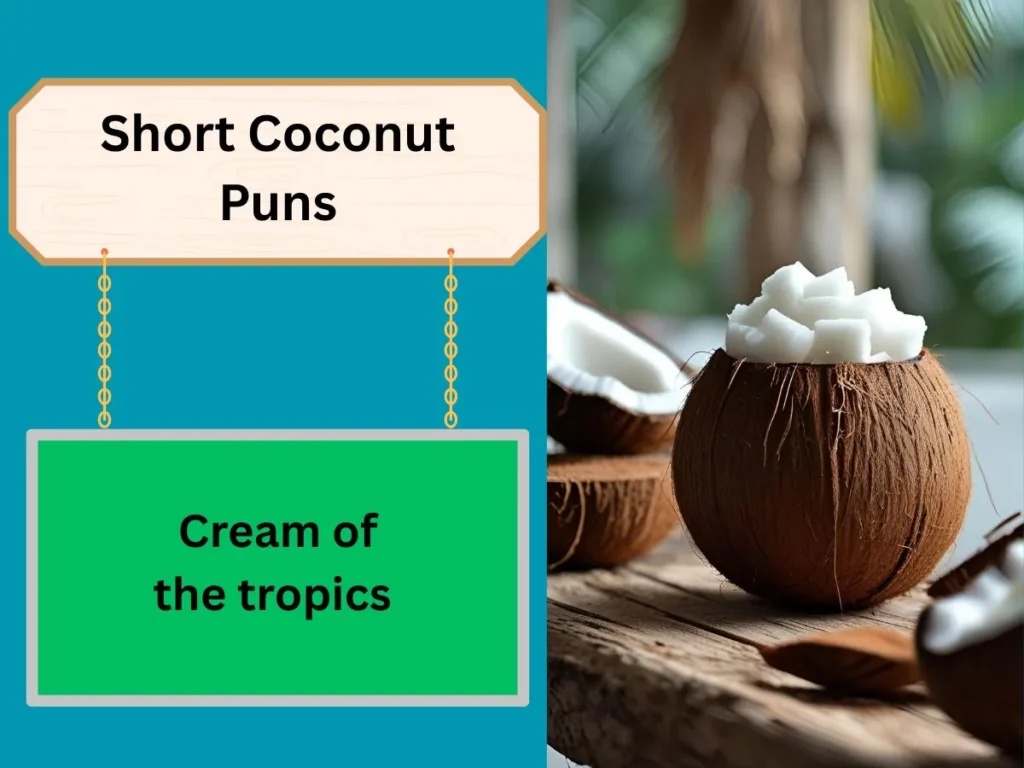 Short Coconut Puns