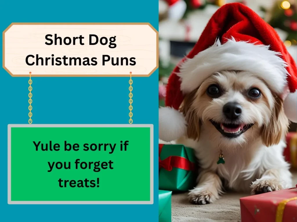 Short Dog Christmas Puns